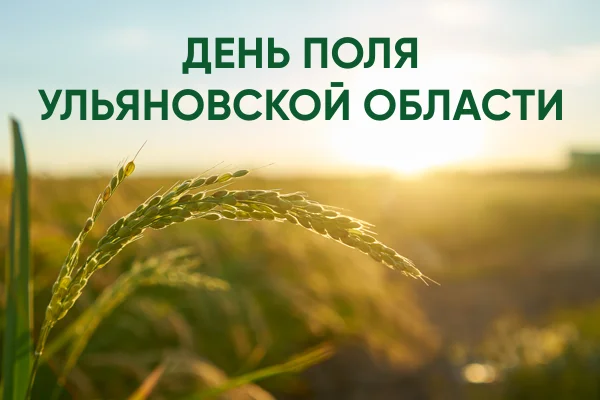 День поля Ульяновской области 2025